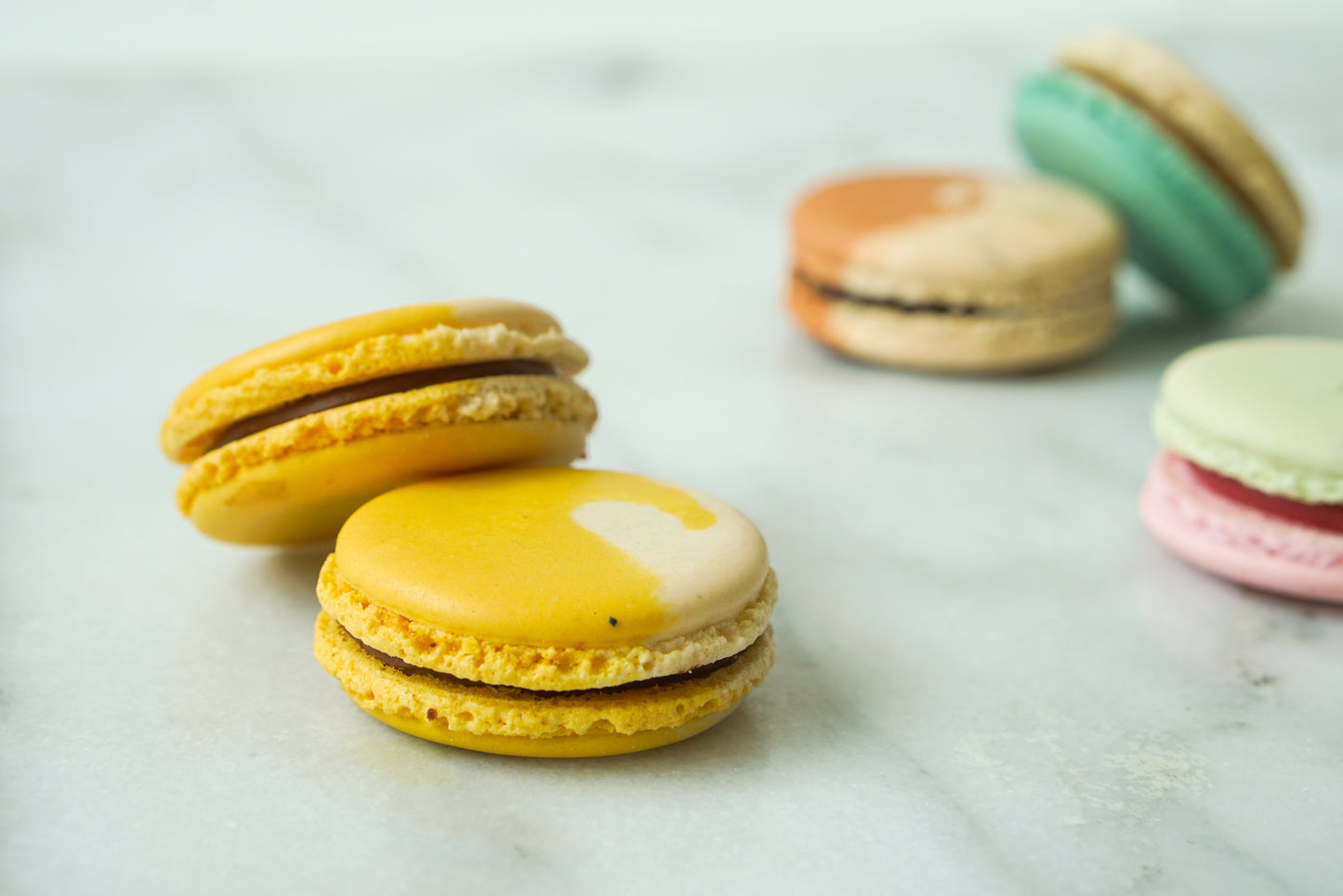 Artisanal Macarons